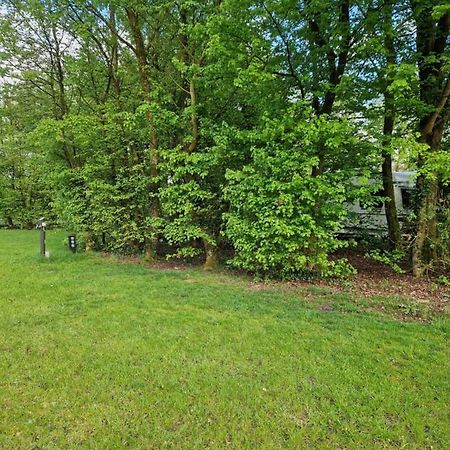 Camping Alkenhaer Appelscha Lege Kampeerplaats מראה חיצוני תמונה