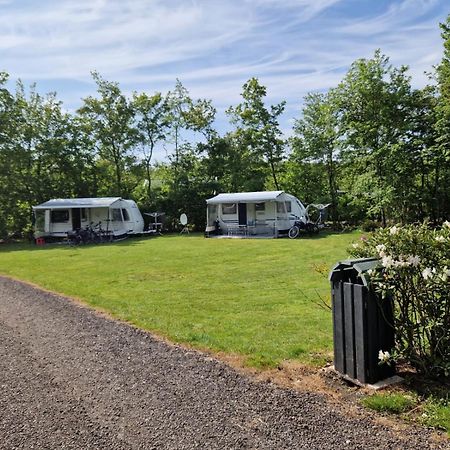 Camping Alkenhaer Appelscha Lege Kampeerplaats מראה חיצוני תמונה